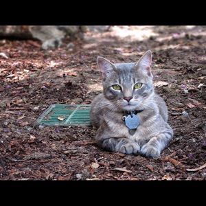 Meet your Posher, Marcia